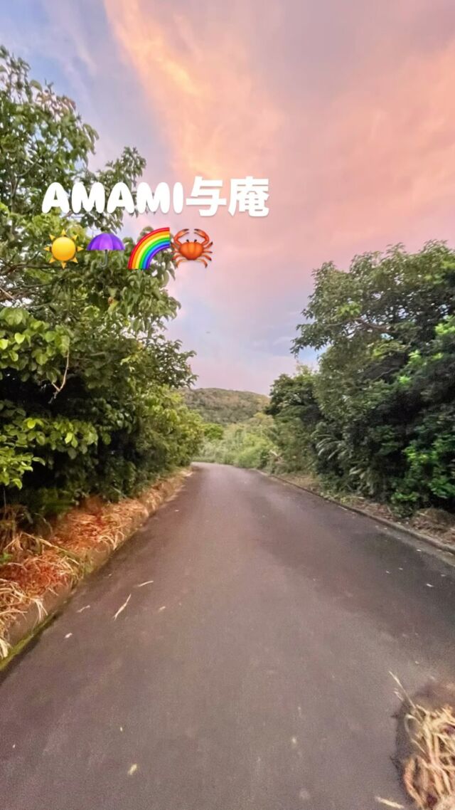 朝の虹と夕方の空とカニさん🦀
久しぶりの大きなダブルレインボー🌈

🦀🦀🦀🦀🦀

#与庵 #amami #カニ #朝の虹 #絶景 
#自然 #naturephotography 
#yoan