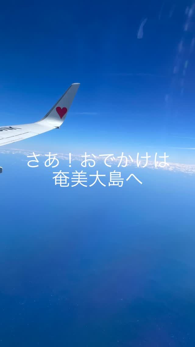 こんにちは〜！
ゴールデンウィーク間近ですね
たくさんの方がこの小さな島に🏝️訪れてくれたり、思いを馳せてくれるのが届いてます〜
こちらまでわくわく🤗です

春〜初夏〜自然からの恩恵も次々に
芽吹き開花し、
忙しい中ですが、フルーツのお世話が楽しみな毎日😊

ただ、今年はマンゴーちゃんの花が１つも咲いてくれなくて😢😢
一時は木が全部傷んでしまったのかとすごくすごく心配だったのですが・・
最近では若芽も出て新しい葉っぱもあります。
村長さんが言うには恐らく剪定を誤ったのでは。。と
ので、今年は自家製ちびっこマンゴーはお出しできませんが、またあちこち奔走して手に入れたいと思います🫶
お楽しみに

季節的に昨日も湿気が多くて
朝から我が家には長さ15センチくらいマジック大のム◯デが出て😨それはそれは大変でございました。。
これから雨が少し多い時期ですが・
奄美大島の豊かな自然に必要な雨ですもんね。。
いろいろな種類の虫さんには正直突然に遭遇しますが、共存共栄　　
自然の中に間借りさせていただいてます