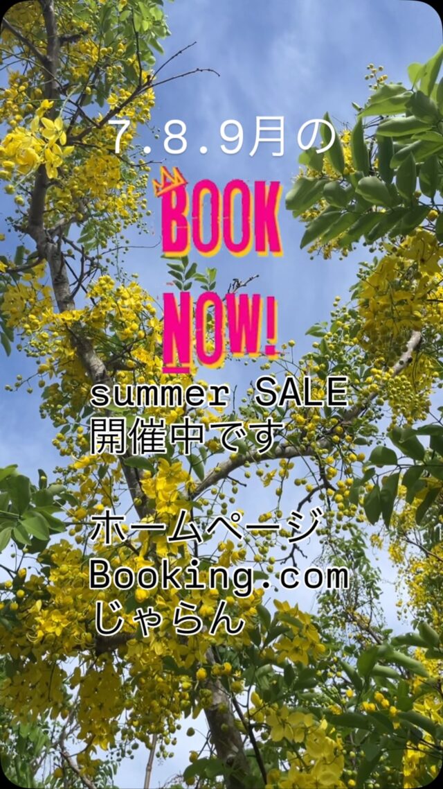 夏の旅行✈️✈️✈️
飛行機乗ってビュン！
in 奄美大島

7.8.9月　AMAMI与庵は
summerセール開催中♪

#amami #travel #与庵 #旅 
#夏のおでかけ